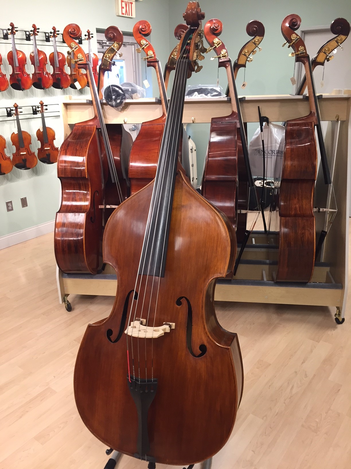 stringed bass instruments